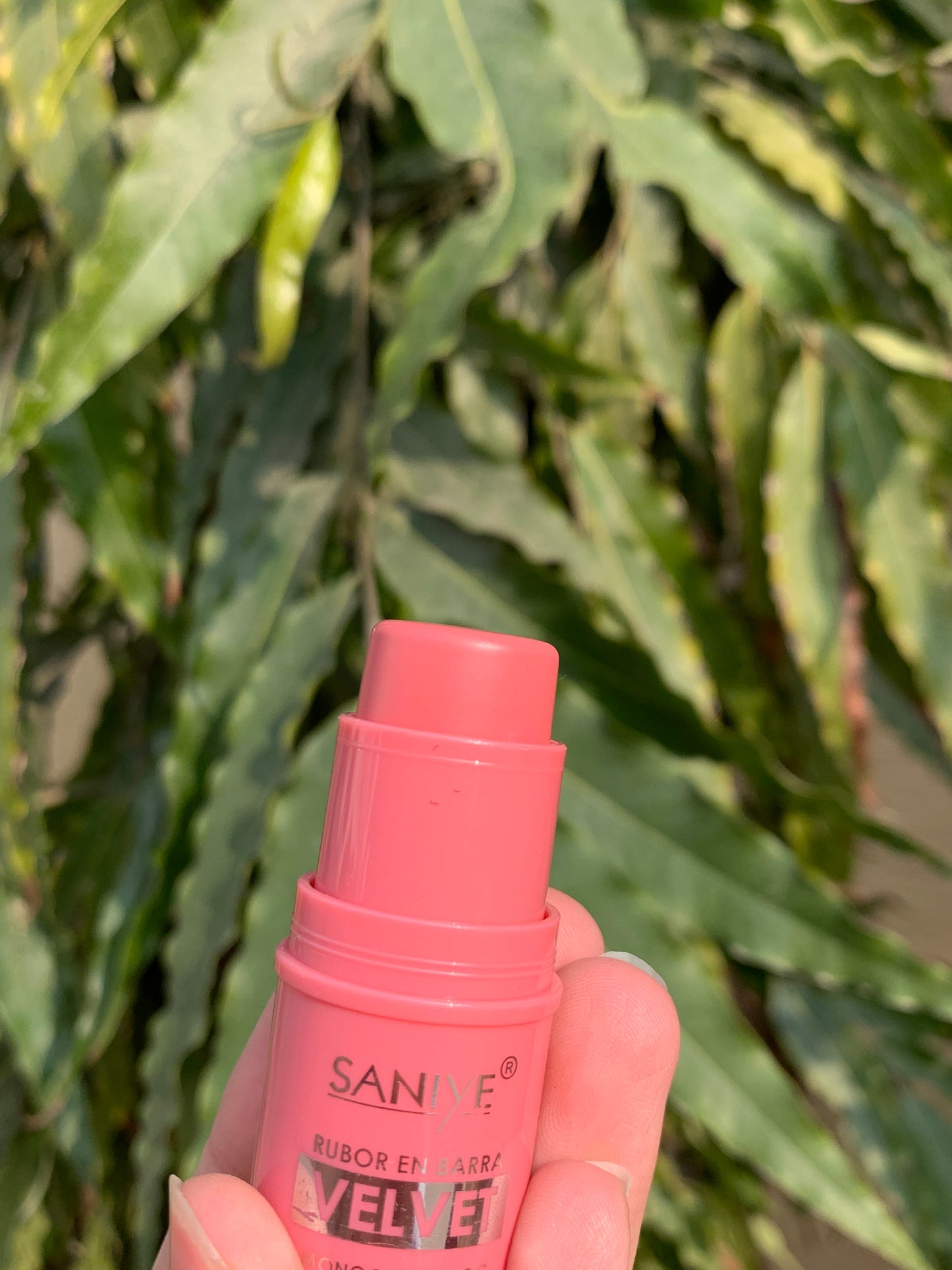 Saniye cream blushes