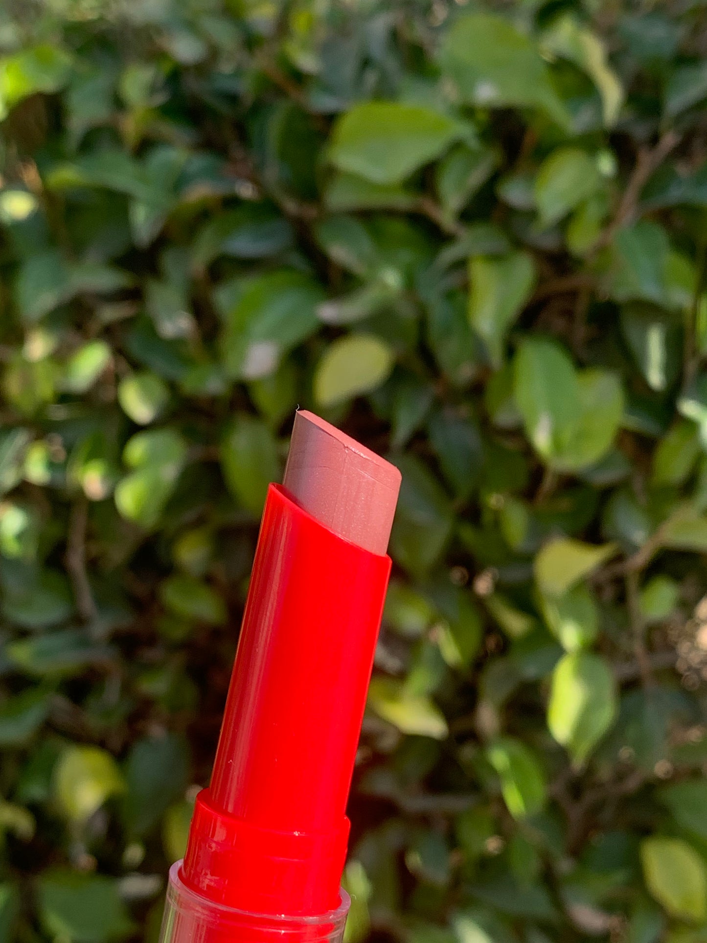 Nude pink glossy lipstick